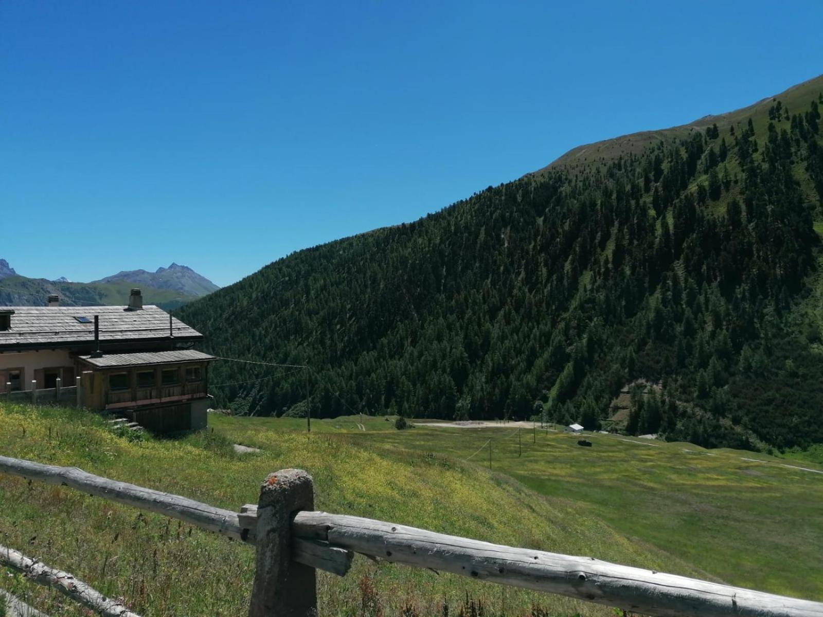 Tea Da Nardo In Val Federia Livigno
